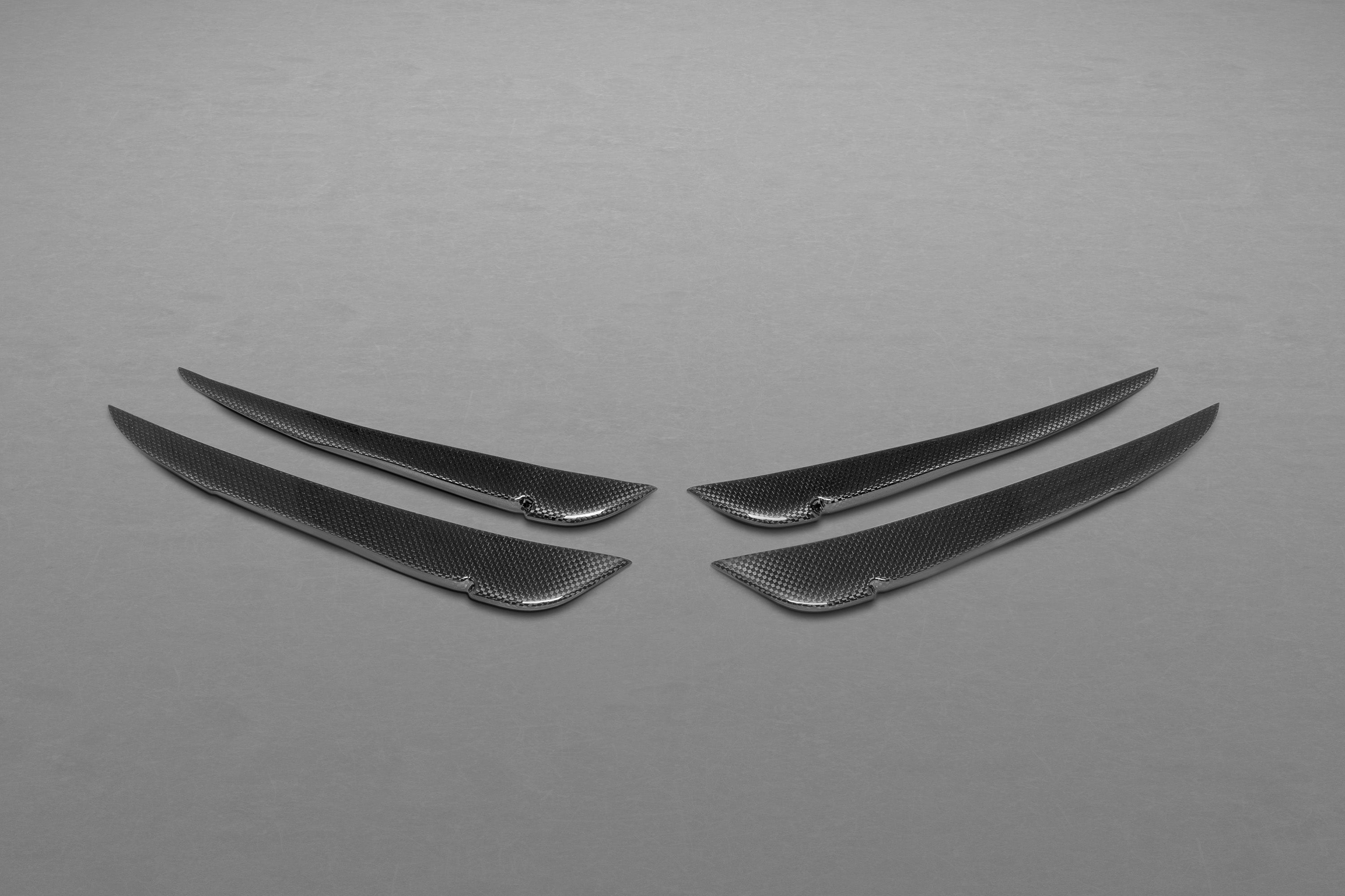 Ferrari 458 Speciale - Carbon Fiber Front Fins