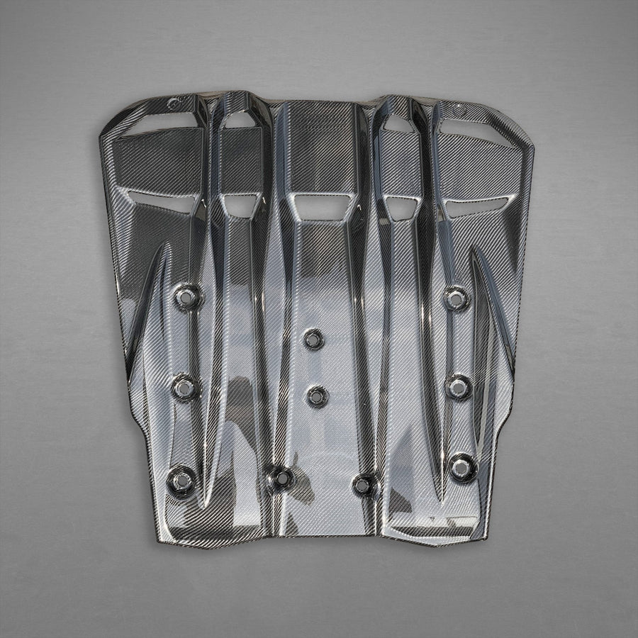Porsche 991.2 GT3RS - Carbon Fiber Engine Cover/Diffuser