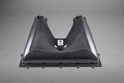 Ferrari 458 - Carbon Fiber Air Box